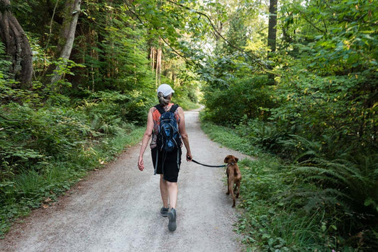 Lady Walking a dog in a green Forest