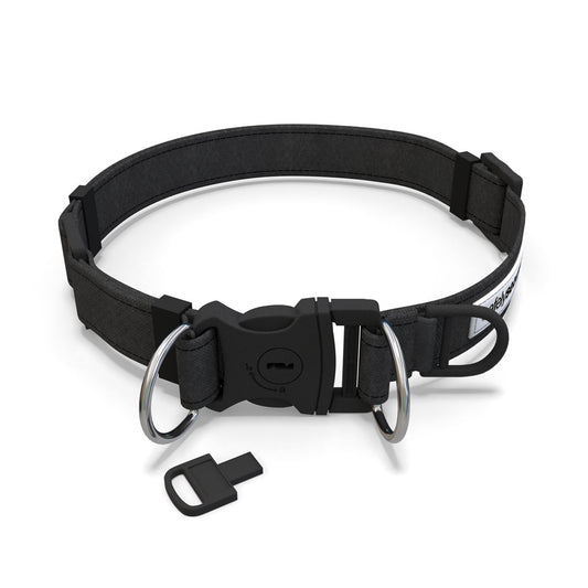 Black Dog Collar with small black key in front of it.