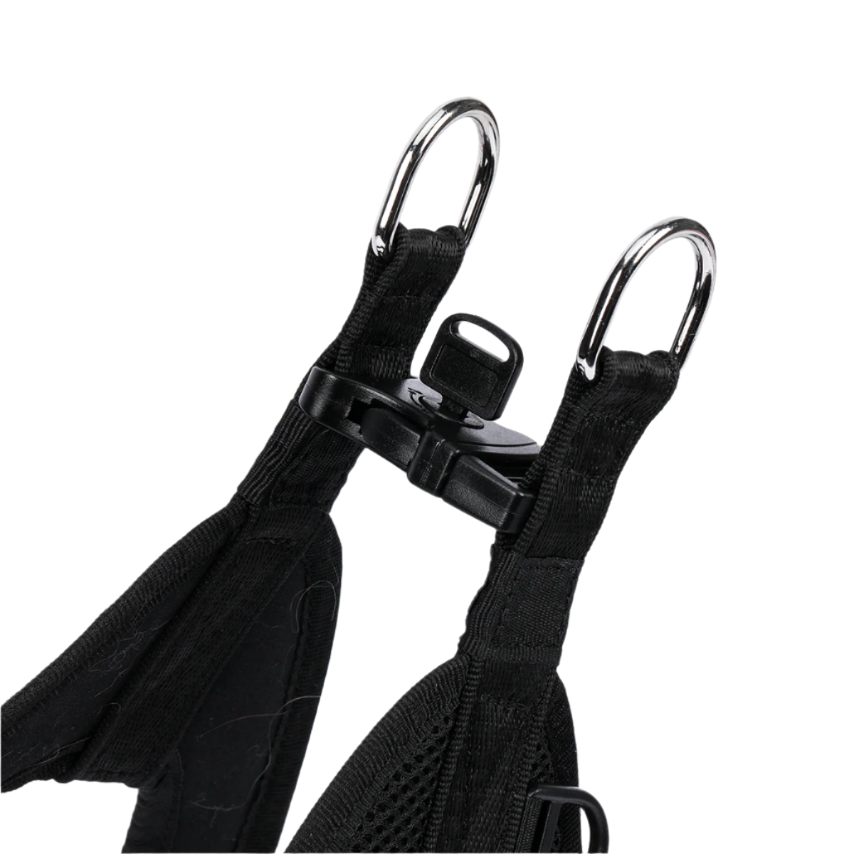 Anti-Theft Lockable Dog Harness