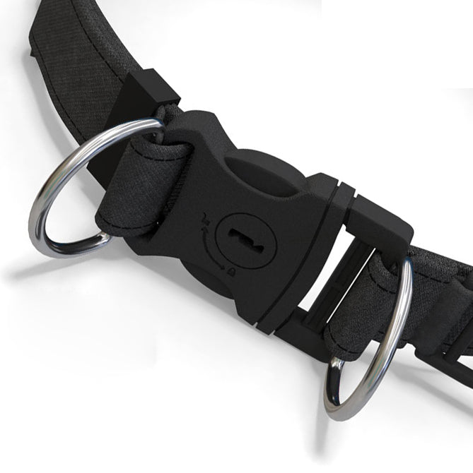 Dog collar with lock and key best sale