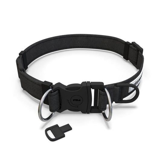 Black Dog Collar with small black key in front of it. 