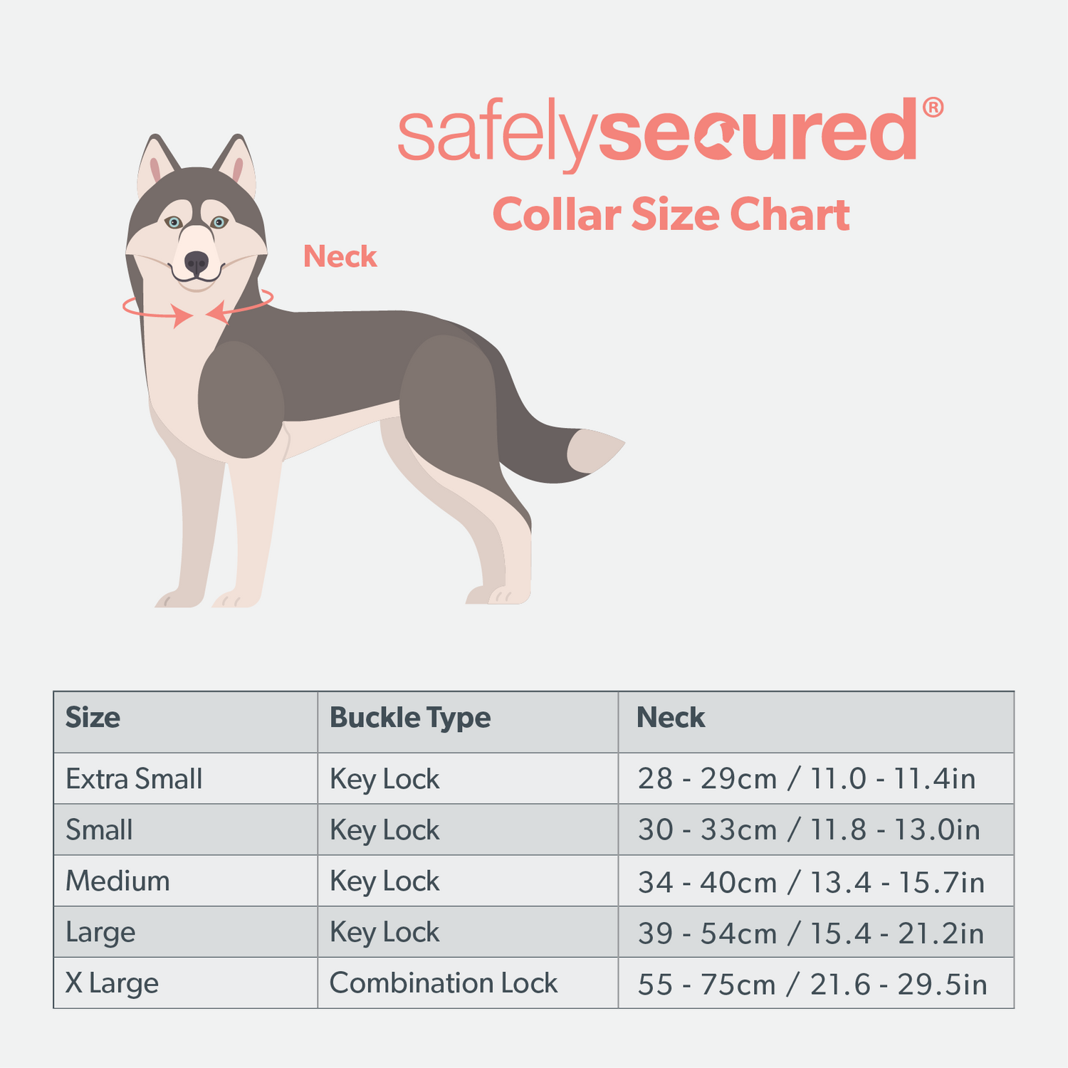 Safely Secured Anti Theft Lockable Dog Collar