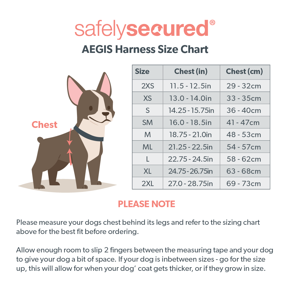 Anti-Theft Lockable Dog Harness