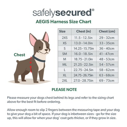 Anti-Theft Lockable Dog Harness