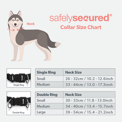 Safely Secured Anti-Theft Lockable Dog Collar