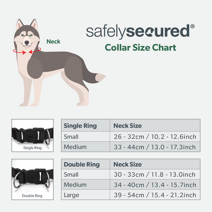 Safely Secured Anti-Theft Lockable Dog Collar