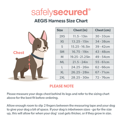Anti-Theft Lockable Dog Harness - PRE SALE
