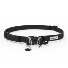 Safely Secured Anti-Theft Dog Snatching Belt