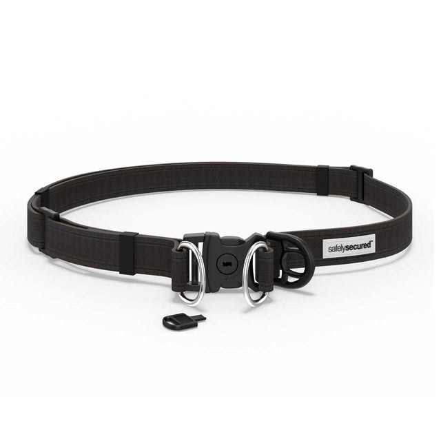 Safely Secured Anti-Theft Dog Snatching Belt