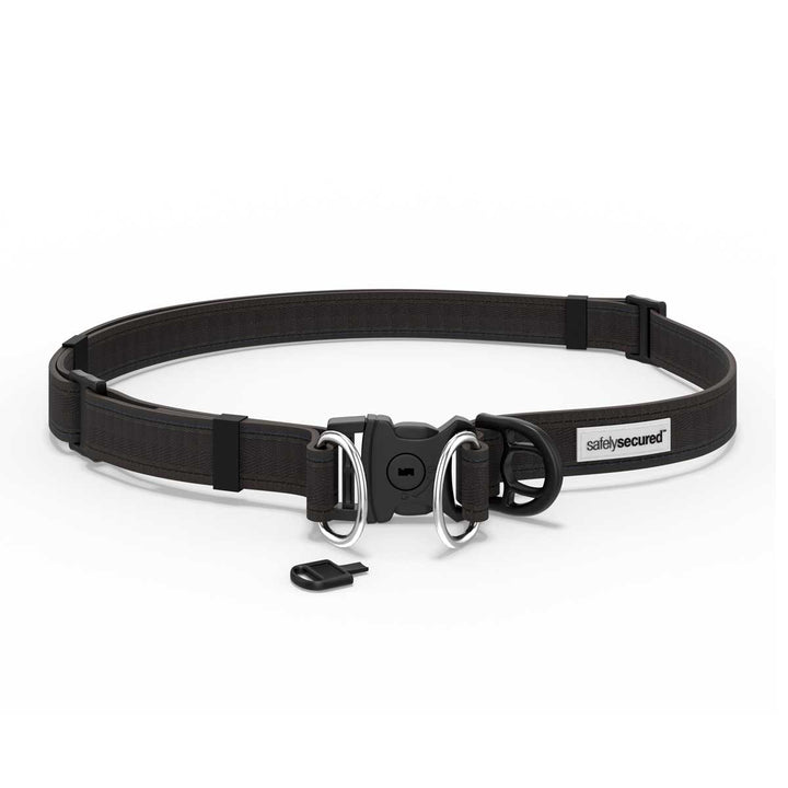 Safely Secured Anti-Theft Dog Snatching Belt