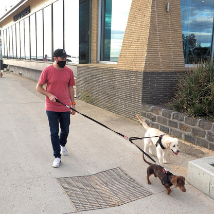Man walking 2 dogs using the lead splitter